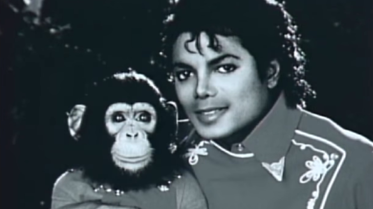 Chimpanzé recebe herança de Michael Jackson?