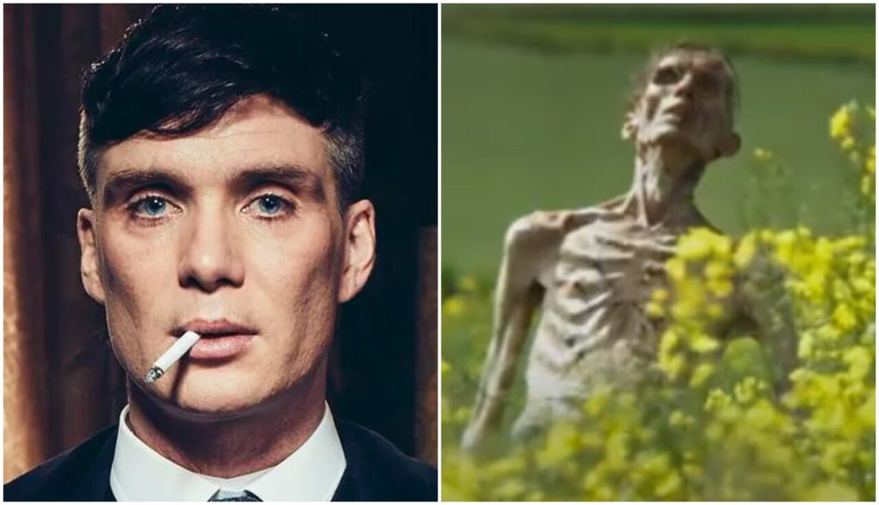 cillian murphy