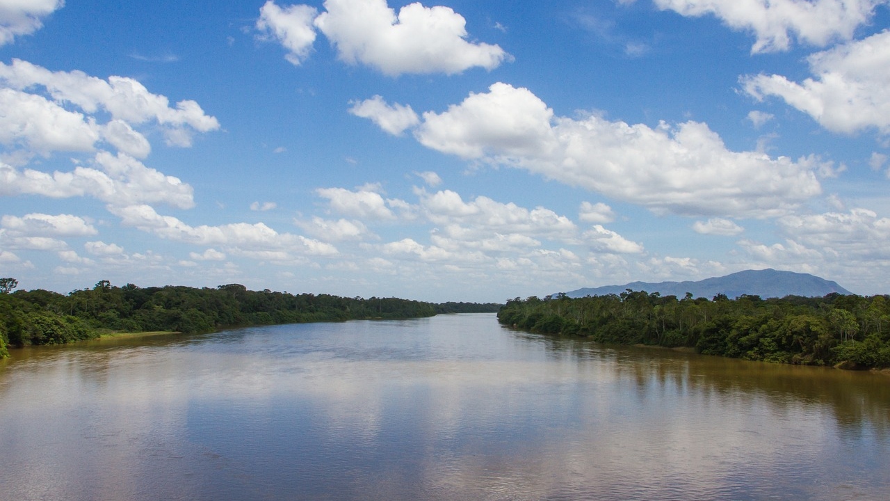 Dia da Amazônia: 3 curiosidades sobre o bioma que você não conhecia