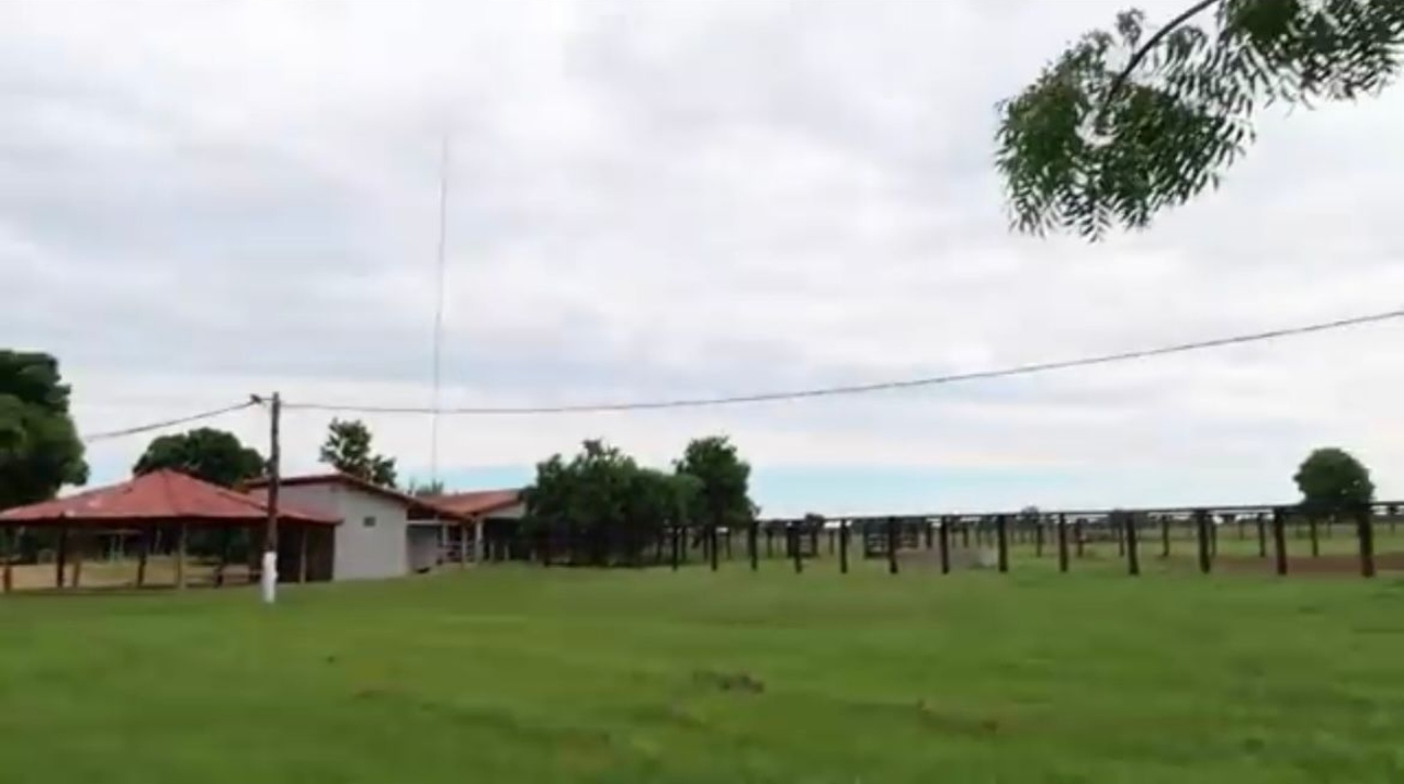 fazenda talismã Leonardo