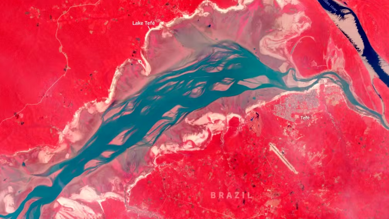 Foto: União Europeia│Copernicus Sentinel-2