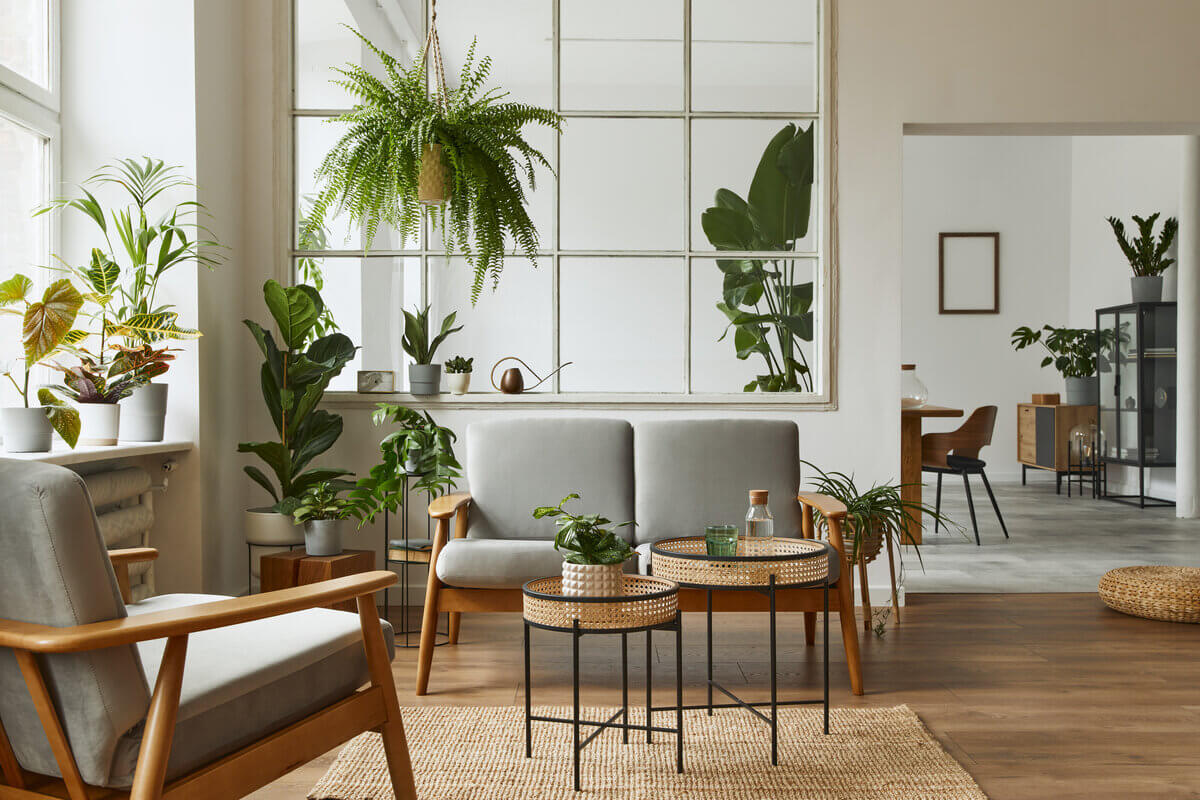 Plantas na decoração oferecem conforto e bem-estar (Imagem: Followtheflow | Shutterstock)