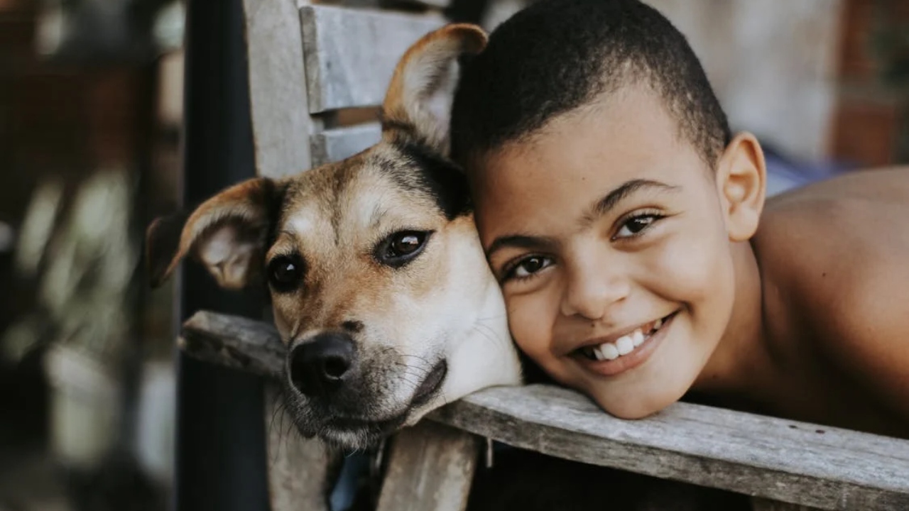 as melhores raças de cachorro para crianças vira-lata