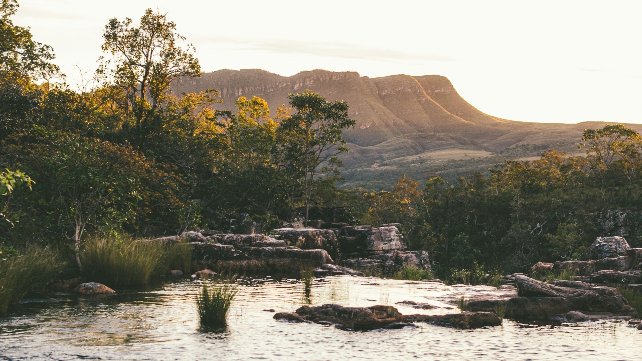 Cerrado em chamas: o que está acontecendo na Chapada dos Veadeiros?