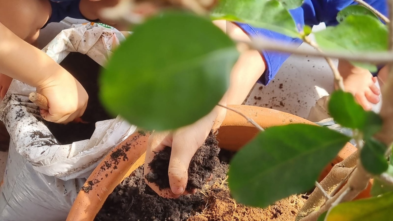 pessoas plantando