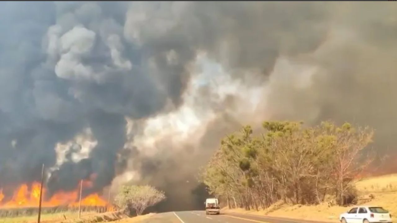 queimadas em SP