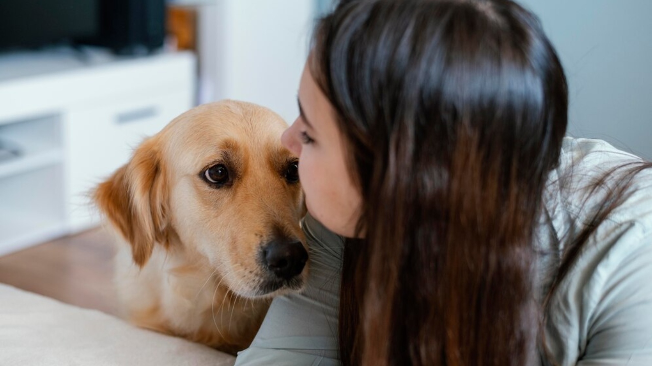 saúde canina como reconhecer problema de saúde nos cães