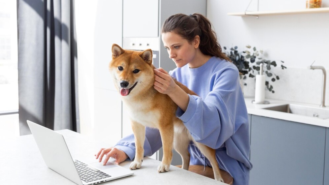 telemedicina veterinária como é o atendimento