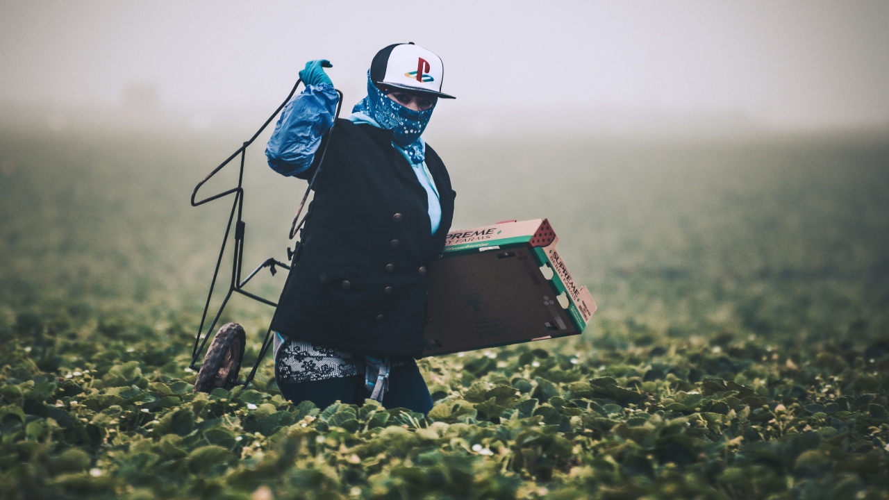 No Brasil, casos de trabalho análogo à escravidão se concentram no agronegócio