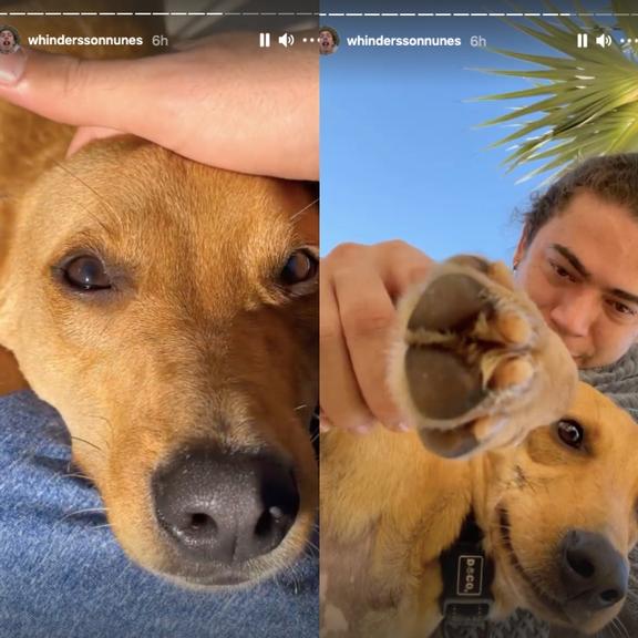 Whindersson Nunes mostra estrago em sofá feito por seu cachorrinho