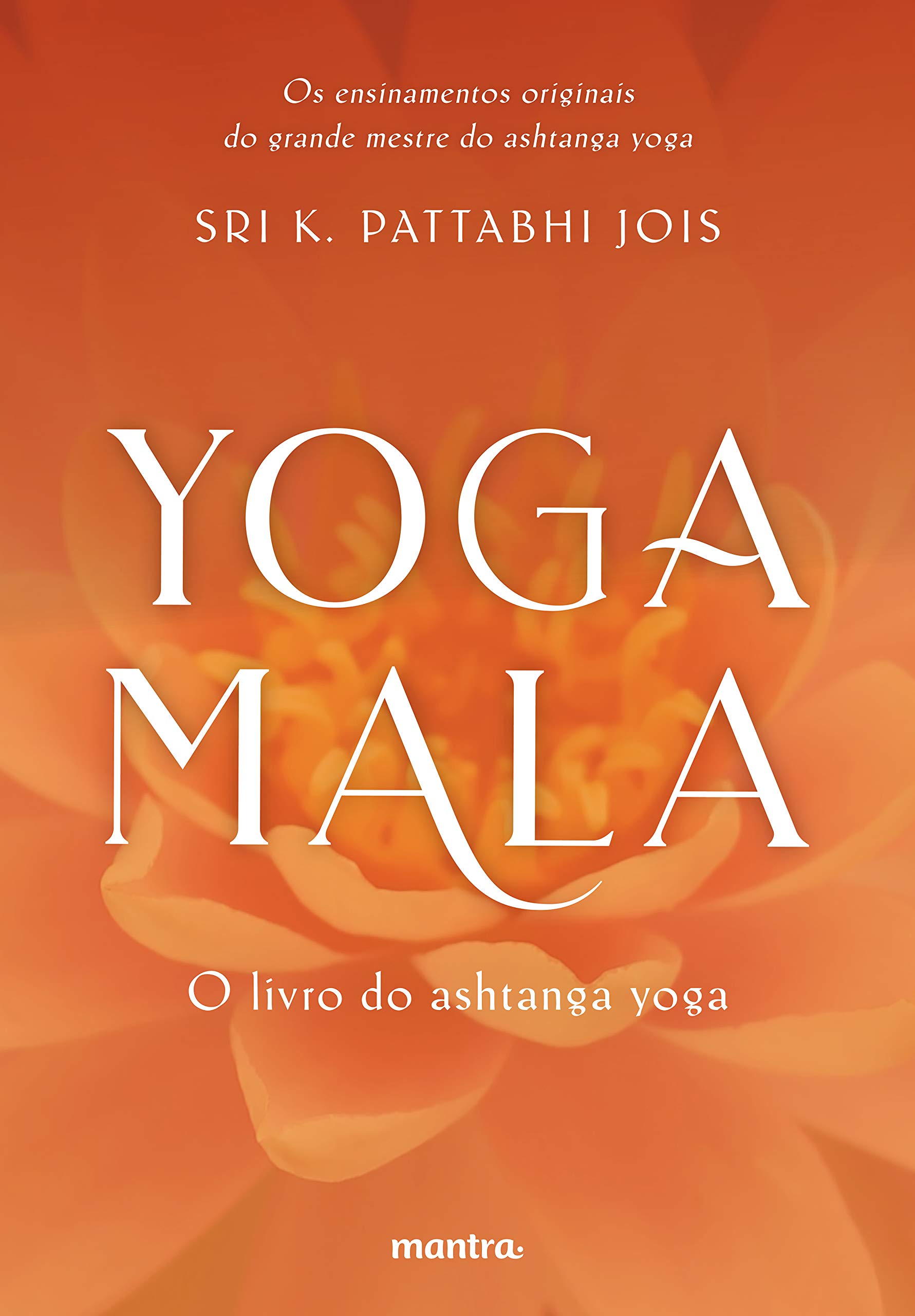 Dia Internacional do Yoga: confira dicas de livros incríveis sobre a prática