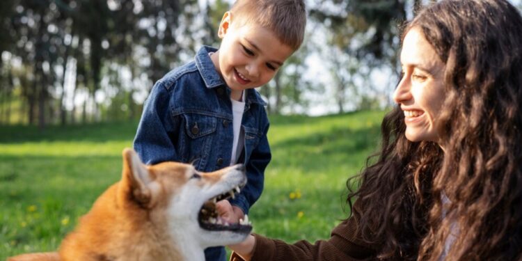 Filhos ou animais de estimação? Geração Z movimenta o mercado pet