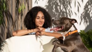 Pets no verão: como cuidar da alimentação deles nos dias mais quentes do ano?