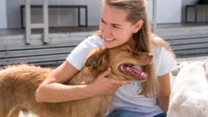 Vai adotar um pet em 2025? Veja tudo o que você precisa saber antes