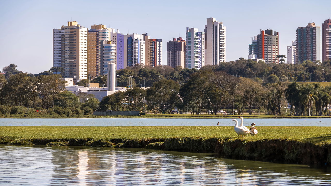 As cidades com mais oportunidades para trabalho e negócios do Brasil