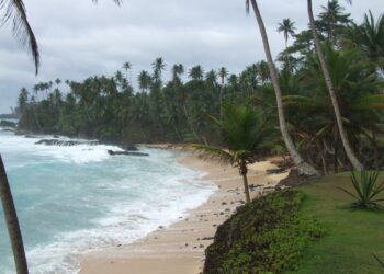 Ilha de São Tomé e Príncipe. Fonte: (Rui Almeida, CC BY 2.0, via Wikimedia Commons)