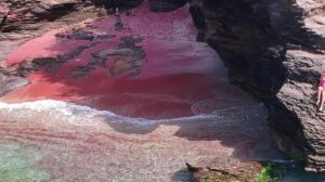 Búzios esconde um paraíso cor de rosa intocado