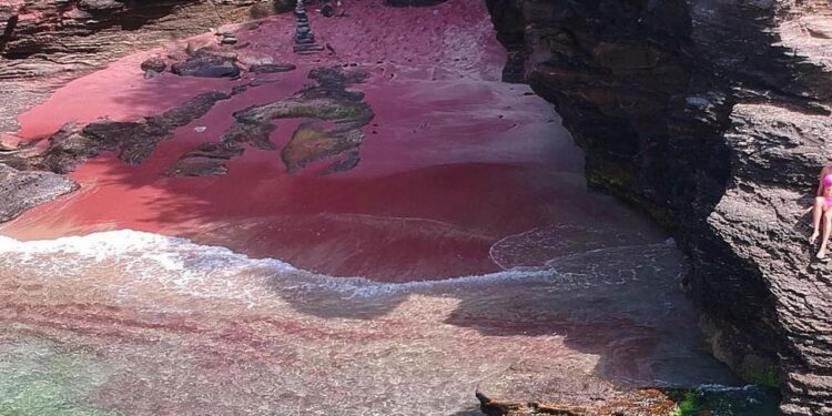 Búzios esconde um paraíso cor de rosa intocado