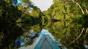 Amazônia, principais atrações turísticas e roteiros imperdíveis
