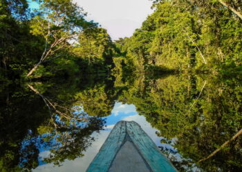 Amazônia, principais atrações turísticas e roteiros imperdíveis