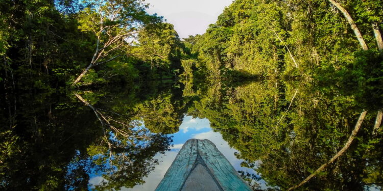 Amazônia, principais atrações turísticas e roteiros imperdíveis