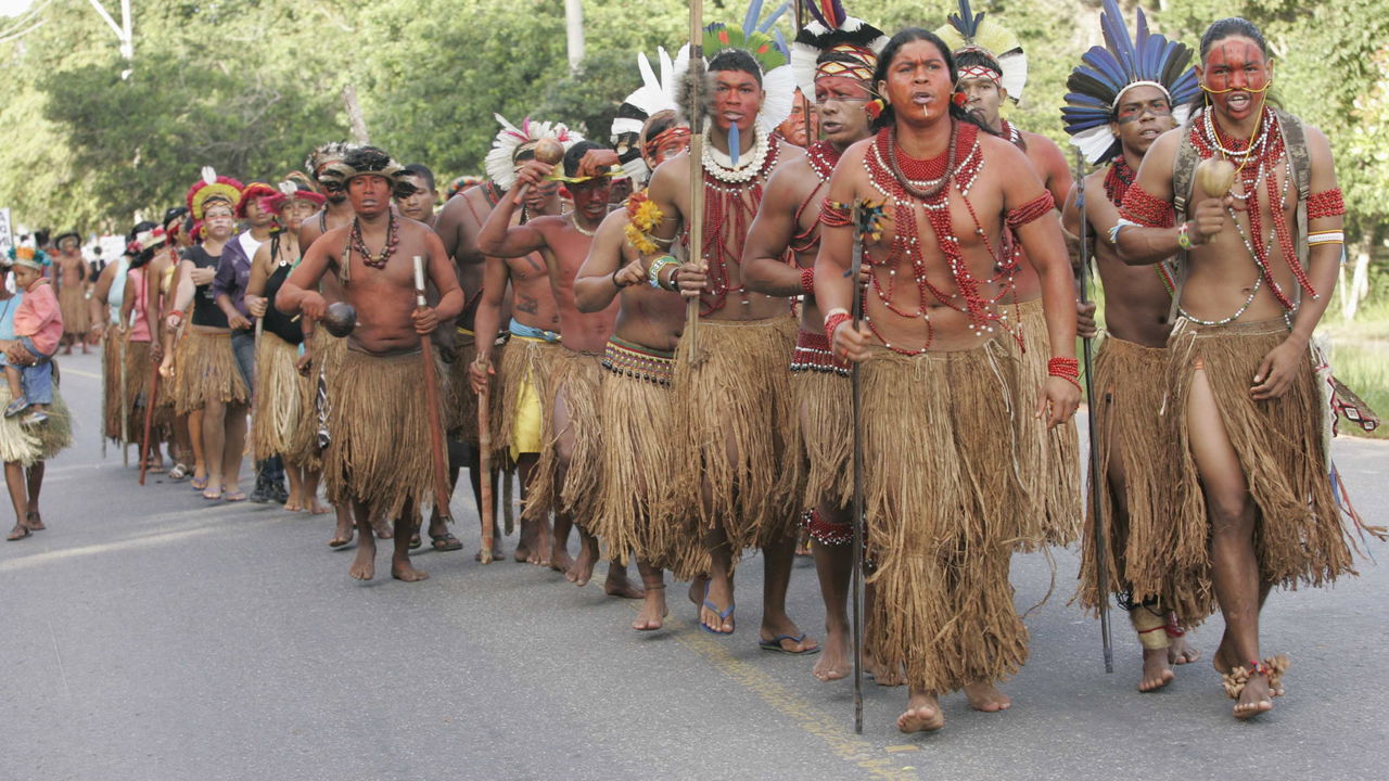 Amazônia, principais atrações turísticas e roteiros imperdíveis