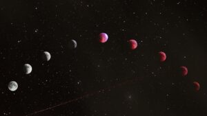 Lua Nova