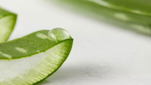 Babosa a planta que desintoxica e fortalece seu corpo