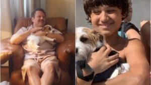 Cachorro do filme ainda estou aqui