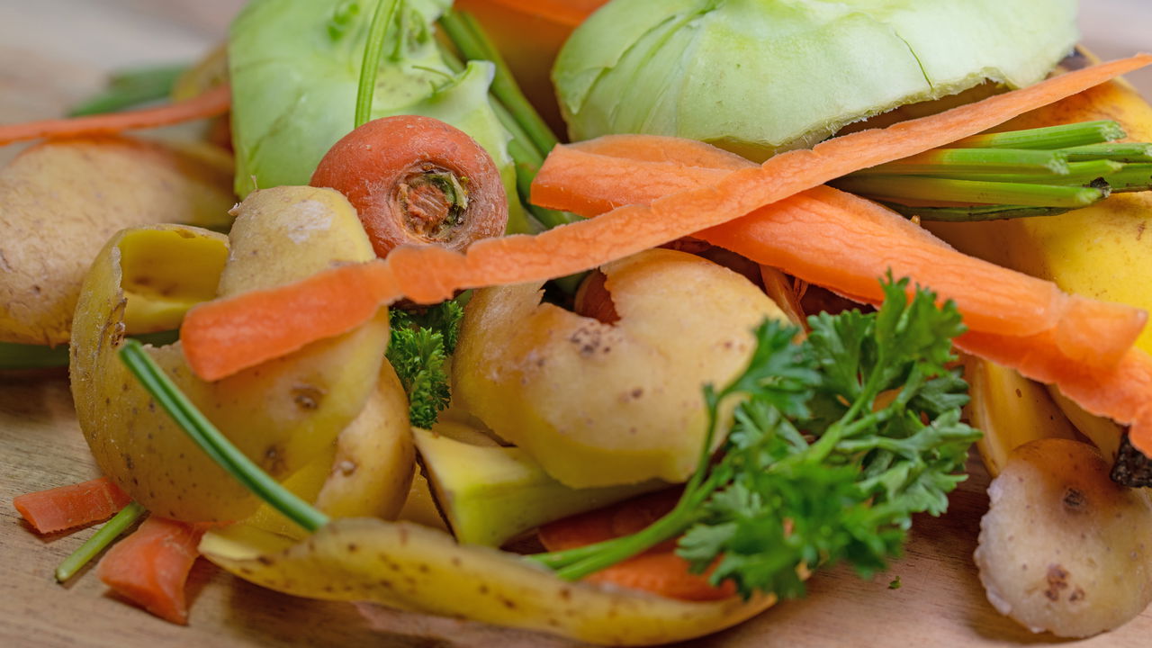 Transforme restos de alimentos em adubo para suas plantas