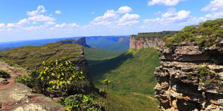 Chapada Diamantina - Créditos: depositphotos.com / Elena Skalovskaia