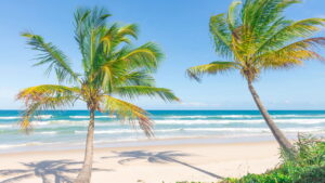Itacaré, o que ninguém te conta sobre este paraíso