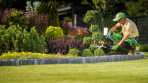 As tendências de jardinagem que vão transformar sua casa