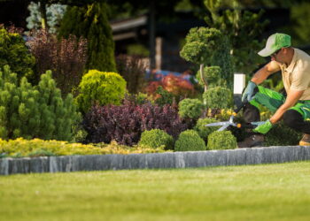 As tendências de jardinagem que vão transformar sua casa