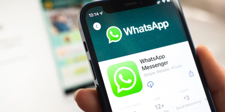 WhatsApp lança temas personalizados e surpreende usuários