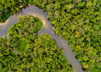 Um Idioma só de assobios? Conheça a tribo do Amazonas