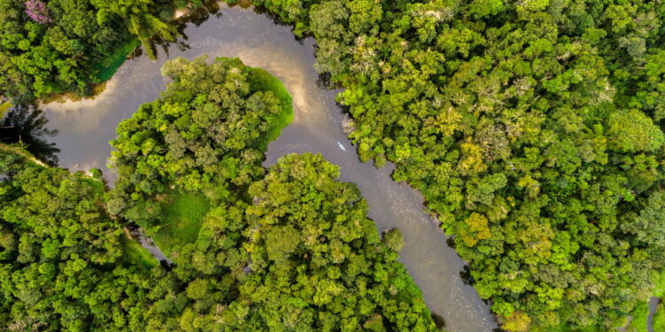 Um Idioma só de assobios? Conheça a tribo do Amazonas