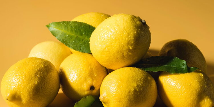 Aprenda a cultivar limão em casa e economize na cozinha!