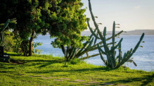 Conheça um paraíso onde a natureza e a tranquilidade se unem