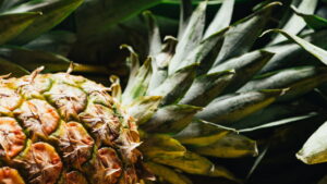 A fruta tropical que conquista o Brasil, do plantio à mesa