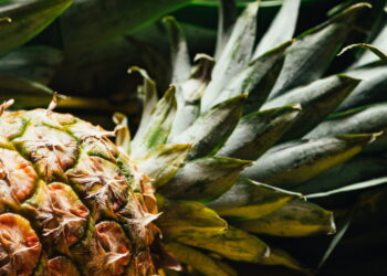 A fruta tropical que conquista o Brasil, do plantio à mesa