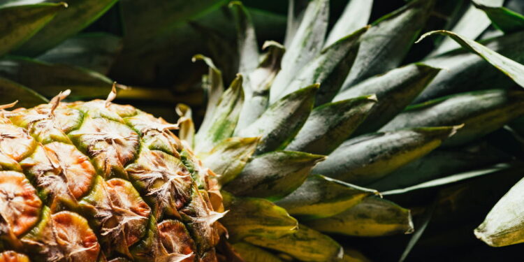 A fruta tropical que conquista o Brasil, do plantio à mesa