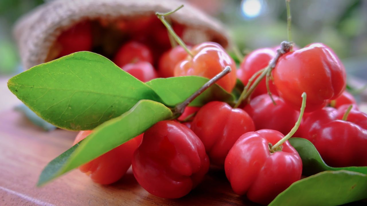 Aprenda a cultivar acerola e tenha um pomar caseiro!