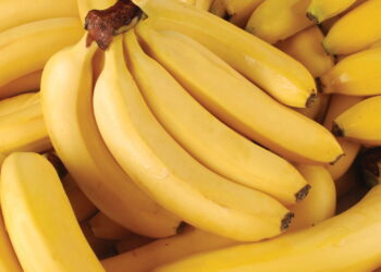 Como plantar bananeiras e ter frutas frescas em casa