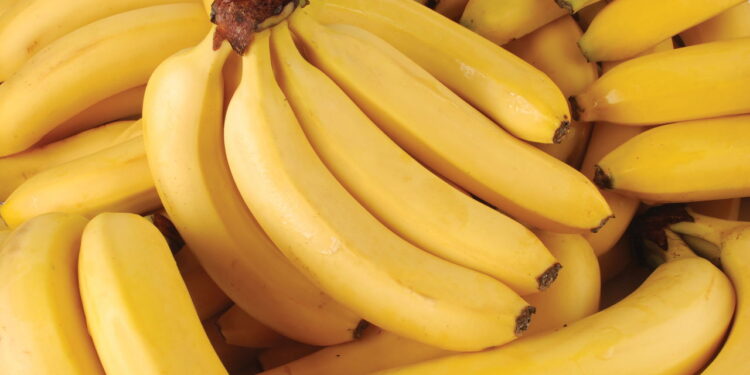 Como plantar bananeiras e ter frutas frescas em casa