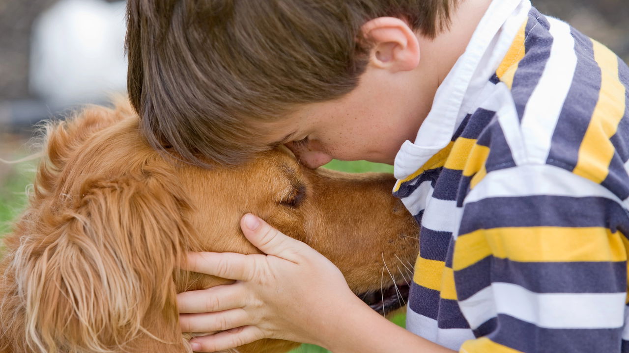 Criar seu filho com um pet pode mudar tudo sem você perceber