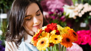 Como plantar gérberas, dicas para cuidar e decorar com elas