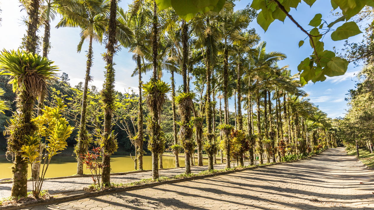 Essas cidades brasileiras se destacam pela segurança e qualidade de vida