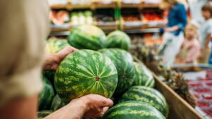 O que ninguém te contou sobre como cultivar melancia