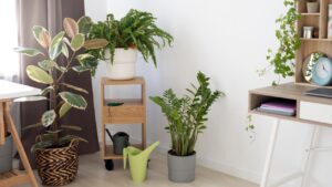 plantas para apartamento